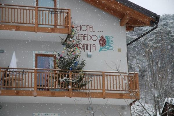Hotel Faedo Pineta Habitación foto